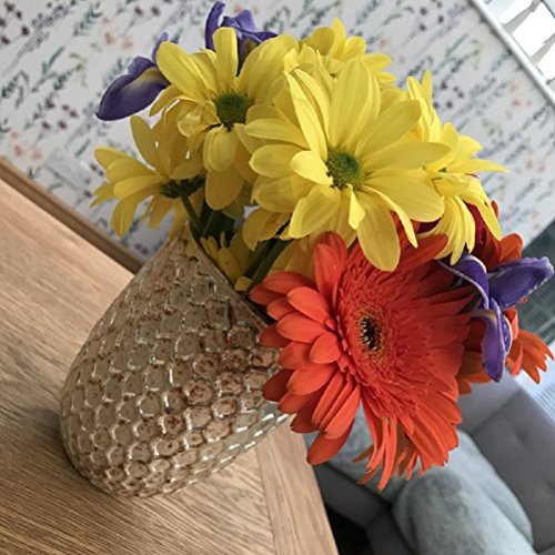 Preisvergleich Produktbild ROSEFIELDS Gold Honeycomb Vase