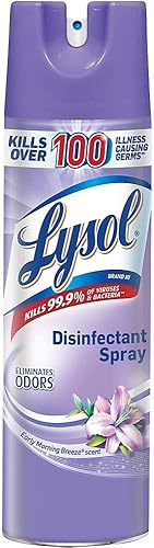 Lysol Aerosol desinfectante desinfectante y antibacteriano para desinfectar y desodorizar brisa temprana por la mañana 19 onzas líquidas el embalaje