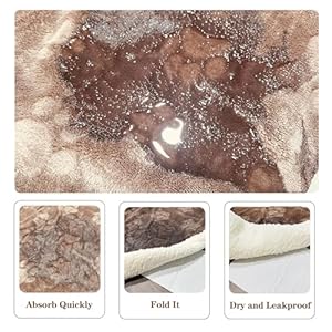 Qeils-Dog-Blankets-for-Medium-Dogs-Waterproof-Cat-Blanket-Washable-Sherpa-Fleece-Puppy-Blanket-Soft-Plush-Reversible-Throw-Protector-for-Bed-Couch-Car-Sofa-50X60-Taupe - Cucciolini Doodles   Qeils-Dog-Blankets-for-Medium-Dogs-Waterproof-Cat-Blanket-Washable-Sherpa-Fleece-Puppy-Blanket-Soft-Plush-Reversible-Throw-Protector-for-Bed-Couch-Car-Sofa-50X60-Taupe
