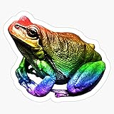 Alex Jones Info Wars Gay Frog Meme Rainbow Vinyl Decal Wall Laptop Bumper Sticker 5"