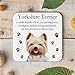 Posavasos con diseño de Yorkshire Terrier Imagen de Posavasos con diseño de Yorkshire Terrier