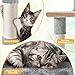 Topeakmart 54in Cat Tree, Multi-Level Cat Tower Condo Furniture w/Comfy Hammock, 4 Cat Scratching Posts, Warm Condo & Funny Basket, Cat House Furniture for Indoor Cats Kittens