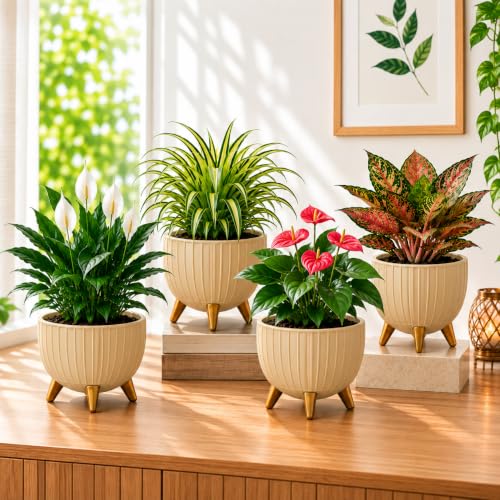 Image of (7 Inch) Plastic Gamala for Indoor Outdoor Plants with Stand, planters for Home Decor, Flower Pot with Legs, Flower Pot for Living Room, Garden, Pot for Office Table & Home (Brown, 3)