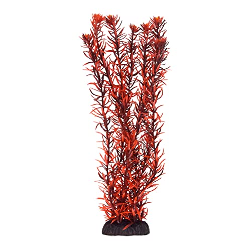 Underwater Treasures Rotala Indica - 12'