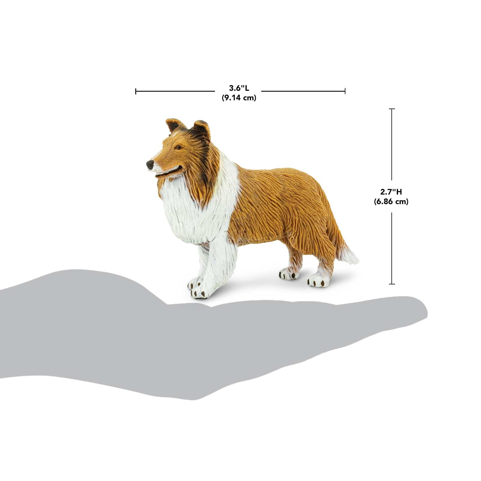 Amazon.com: Safari Ltd. Collie Figurine - Lifelike 4