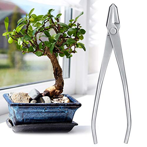 Bonsai Cutter Tool, Gartenpflege Edelstahl Knopfschneider mit runder Kante Gartenarbeit Schneidzange Bonsai Tools