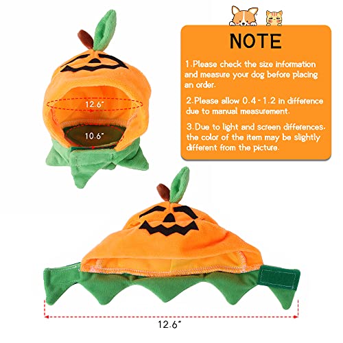 Sombrero de Halloween para gatos y perros pequeños miniatura 6