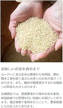 令和七年用 彩のきずな 種籾10キロ 令和七年用 彩のきずな 種籾10kg