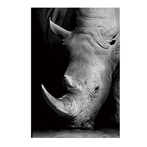 Yibenwanligod Tableau mural représentant une girafe - Photo en noir et blanc - Idéal pour décorer le salon - 40 x 50 cm, Toile, Rhinocéros, 20 x 16 inches