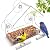 BTFSZ Clear Window Bird Feeder for Outside - Strongest Suction Cups 360° View Acrylic Design, Easy Fill & Clean Removable Tray-Perfect Christmasfor Gifts Bird Lovers, Kids, Grandparents,Cat Owners