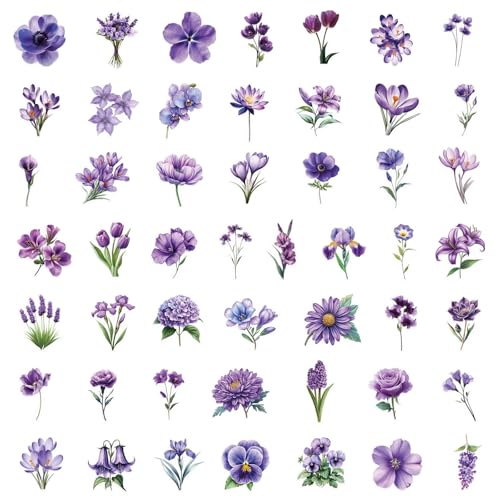 50̃t[XebJ[̃pbNEH[^[{gp̑ϐybgXebJ[XNbvubLOXNbvubLOp̃bvgbvbvgbvt[