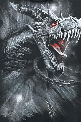 Spiral - Dragon's Cry - Hoody Black2