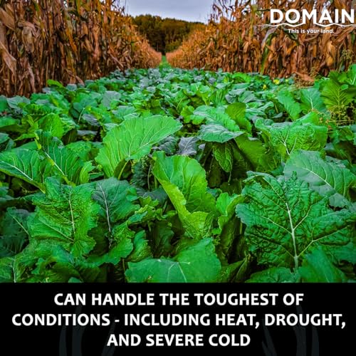 Domain This Is Your Land. Domain Outdoor Bombshell Food Plot Seed For Deer thumb #2