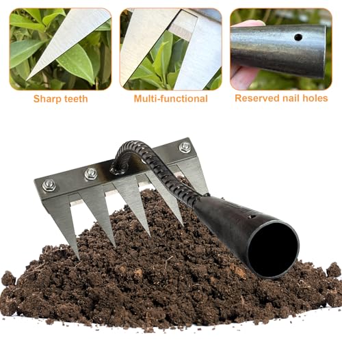 Rastrillo de Hierro para Jardín Heavy-Duty con 5 Dientes miniatura 4