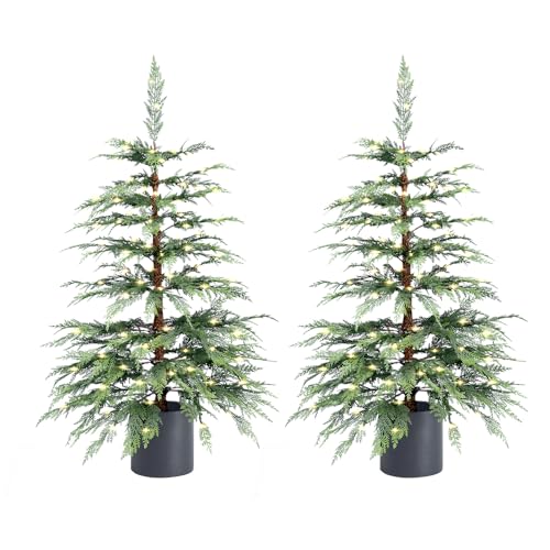 Faux Potted Hemlock Pre-Lit Christmas Tree, Cordless (4FT, Set of 2)