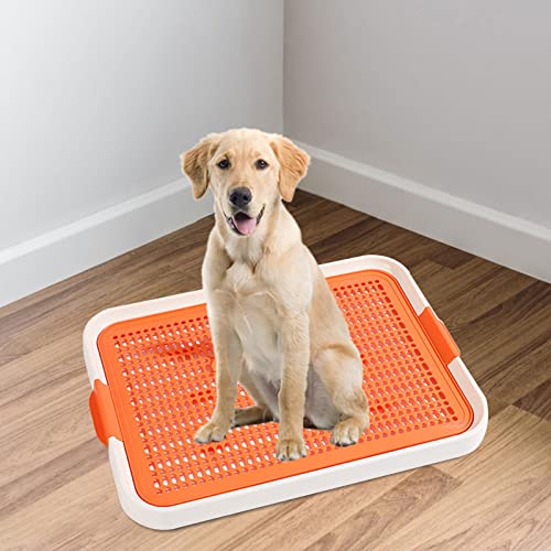 MYCENSE Bandeja de Banheiro para Treinamento de Cachorro, Almofadas de Treinamento, Suporte para Alm