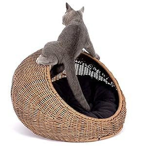 Wicker Cat Bed Dome for Medium Indoor Cats – a Covered Cat Hideaway Hut of Faux Rattan Houses Pets in Dome Basket, Washable