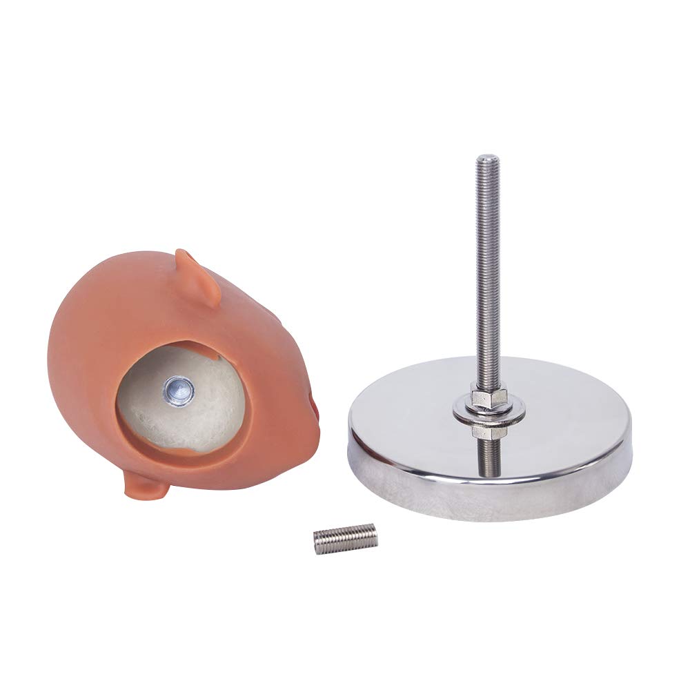 Doll Accessories for Place Head Stand Tainless Steel Doll Accessories Round  Tray for Doll Head Hold for Doll : Amazon.ca: Home