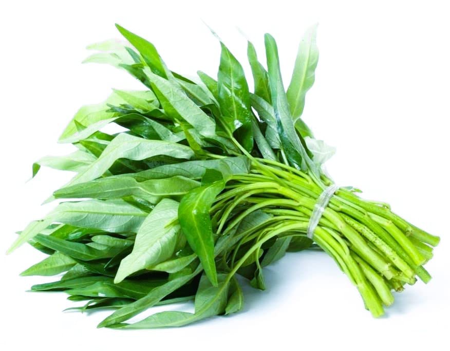 Sakuntala Hybrid Seeds Kalmi Saag Kolmi Shak Green Fresh Spinach Kalmi Saak Water Spinach Seeds for Home Kitchen Gardens Farms | Leafy Vegetable Seeds | High Germination Seeds (60+ seeds per packet) (B0BXJR67GV) Amazon Price History, Amazon Price Tracker