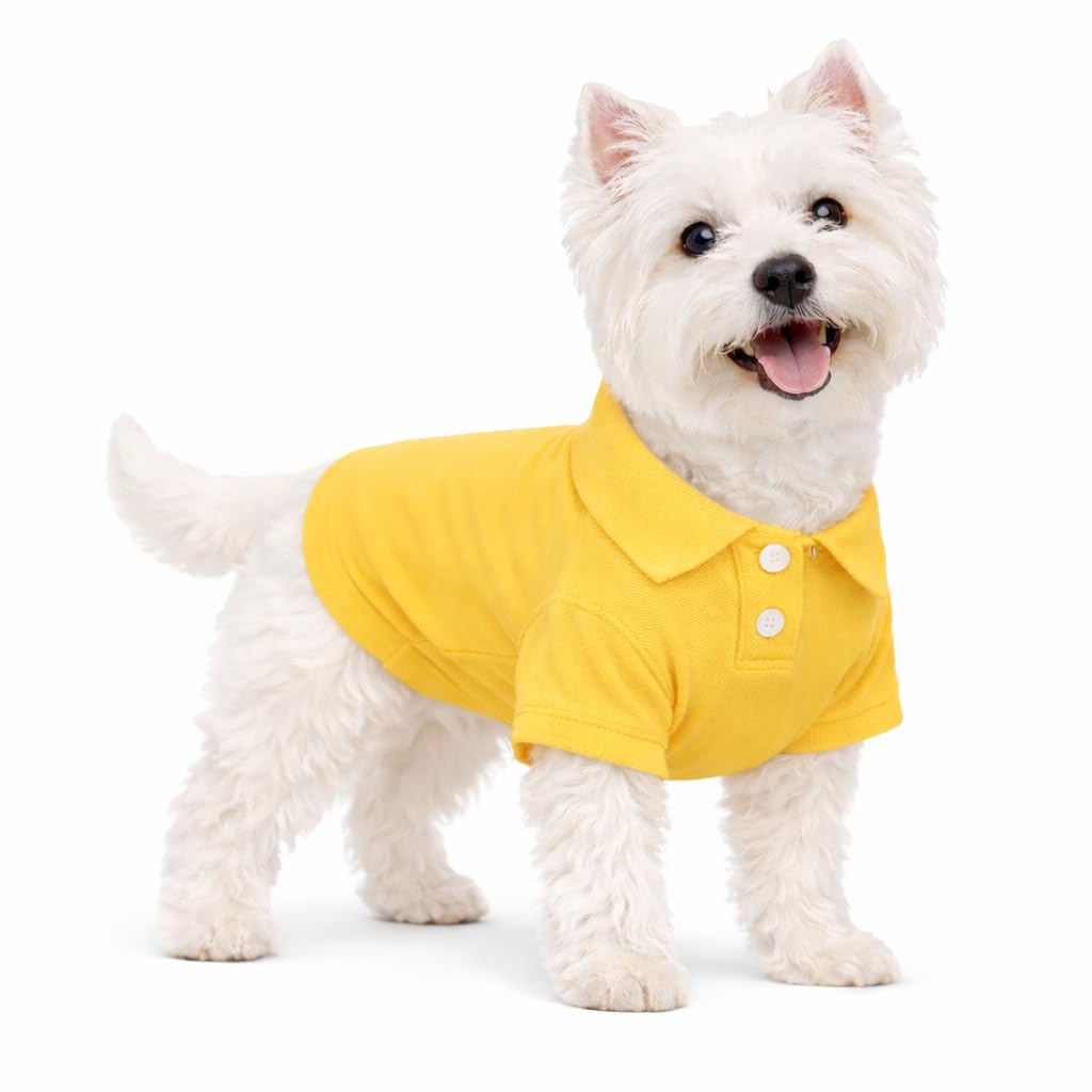 lovelonglong Basic Dog Polo Shirts Premium Cotton, Polo T-Shirts for Large Medium Small Dogs with a Two-Button Collar Blank Color Yellow XS