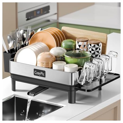 CosyPic Dish Racks, Thicker Premium 304 Stainless Steel Dish Drying Rack for Kitchen Counter, Automatic Drainage Spout, Dish Drainer & Drainboard Set with Utensil Holder and Cup Holder, Black