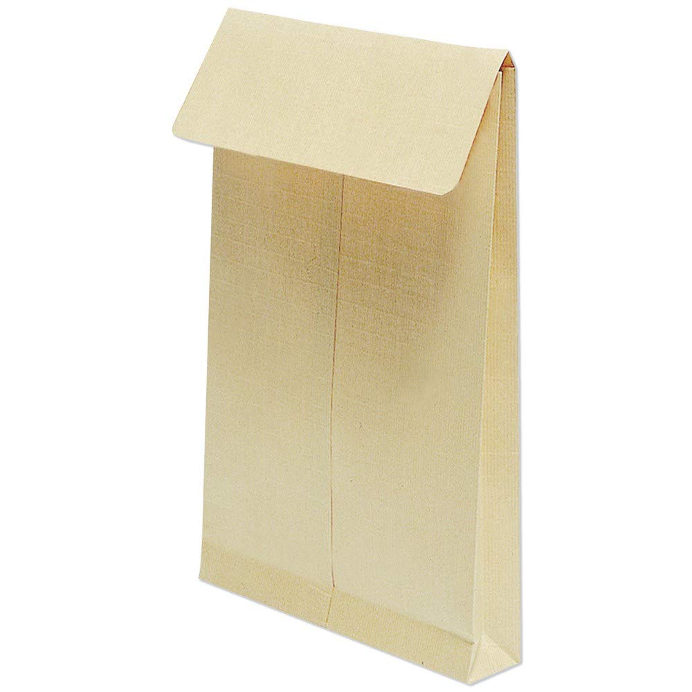 Clairefontaine 13058C - Karton mit 250 Versandtaschen Kraftbraun E4-280x400 mm, mit Rillen, dehnbar mit Falten 30 mm, selbstklebend, 130g, sehr strapazierfähig, 1 Karton