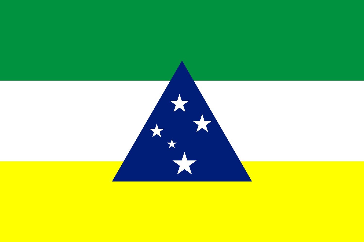 Drapeau Tefé Amazonas grand format aux couleurs officielles du Brésil