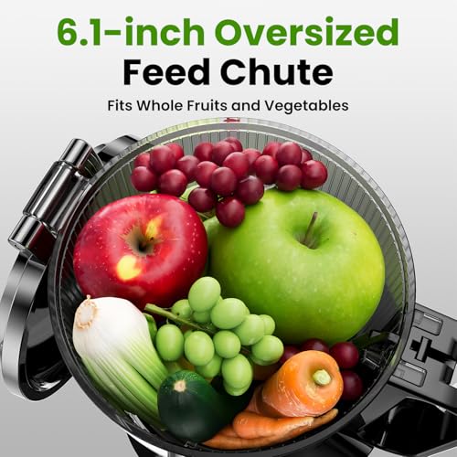 Amumu JC-30 Cold Press Juicer, Amumu Slow Masticating Machines thumb #1