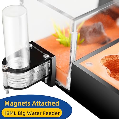 Rimsunta Ameisennest Formicarium für lebende Ameisen und Königin - extra großer klarer Lebensraum für Erwachsene