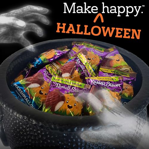 RUSSELL STOVER Halloween Dark Chocolate Coconut Crème Candy Pumpkin, 1.3 oz. (Pack of 18) - image 5