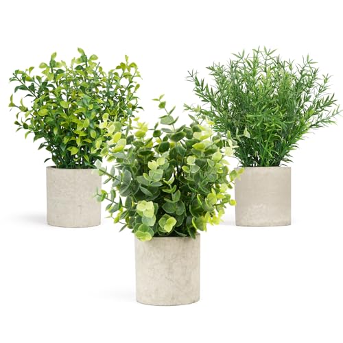 Best Plant for Coffee Table: Top Stylish Faux and Realistic Picks 3 Velener 3 PCS Small Fake Eucalyptus Plant Artificial Potted Plants Indoor for Desk, Shelf, Home Decor Realistic Faux Plant for Office, Bathroom/Living Room Decoration (Sage Green)