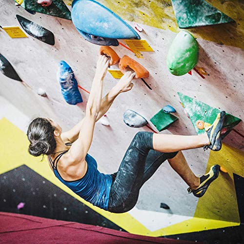 最安値 再入荷 ビーストメーカー Beastmaker1000 Series クライミングトレーニングボード トレーニングアプリ対応 クライミング トレーニング用品 フィンガーボード 懸垂ボード クライミング トレーニング 懸垂 器具 ロッククライミング ボルダリング グッズ その他