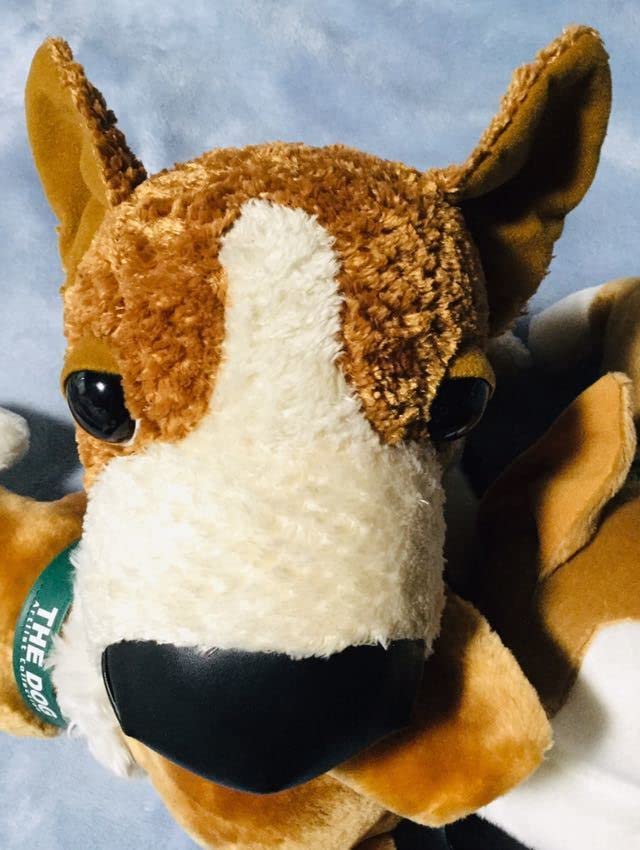 Amazon.co.jp: 【THE DOG】 ウェルシュ コーギー ぬいぐるみ3種セット