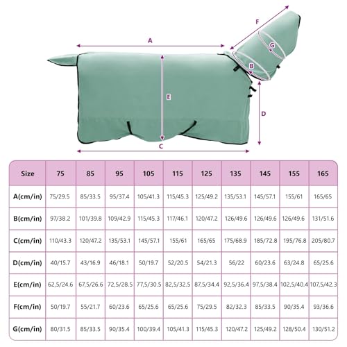 Manta para caballo impermeable de 155 cm que evita resfriados en invierno 8