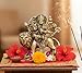eSplanade Brass Maa Durga/MATA Rani Idol, Statue, moorti, murti for Home Mandir and Home Decor (4.6 Inches)