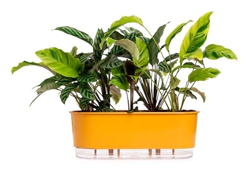 Jardineira Autoirrigável 40cm x 16cm - Terrazzo Arenito