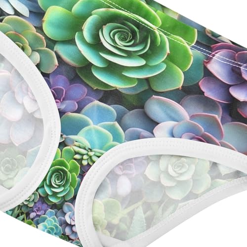 Colorful Succulents Toddler Girls's Underwear 2T 202c18734