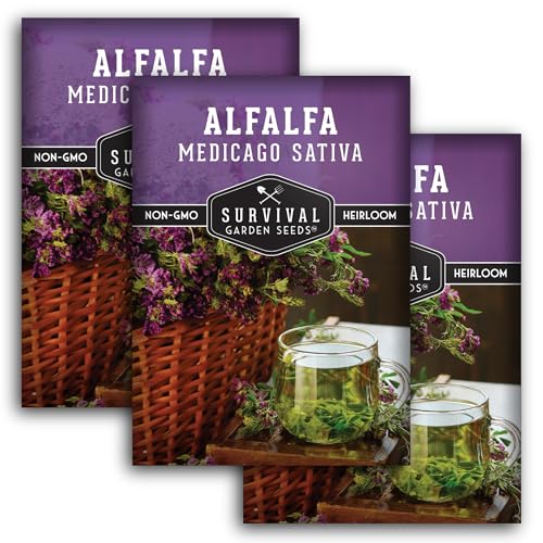 Survival Garden Seeds - Alfalfa Seed for Planting - 3 Packs with Instructions to Plant & Grow Lucerne in Your Home Garden - Medicinal Herb, Forage, Cover Crop, Hay & More - Non-GMO Heirloom Variety