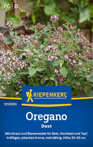 Kiepenkerl Oreganosamen Dost 1013000, Kräutersaat | Inhalt für 100 Pflanzen, Samen Kräuter...