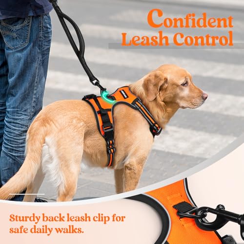 Image of rabbitgoo Dog Harness No Pull with 2 Leash Clips, Adjustable Soft Padded, Reflective Oxford No Choke Pet Vest with Easy Control Handle for Large Dogs, Orange, XL