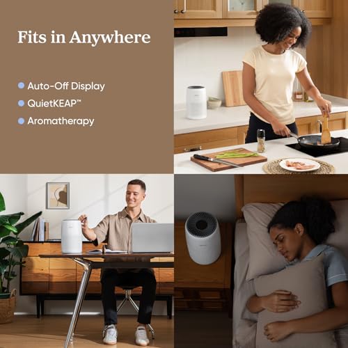 LEVOIT Core Mini-P の商品画像 3