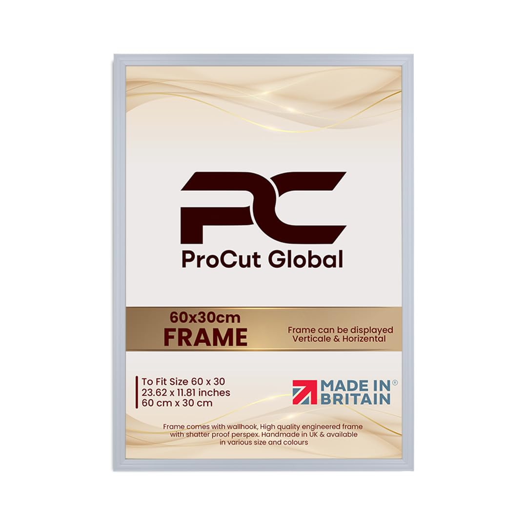 Procut Global 60x30CM Light Grey Picture Frames - Classic Wooden Photo Frame with Shatterproof Perspex for Wall or Tabletop - Perfect for Posters, Certificates & Prints - Sizes & Colors Available