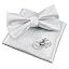 054-shiny Silver