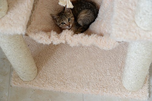 Aeromark-International-Armarkat-Mult-Level-Cat-Tree-Hammock-Bed-Climbing-Center-for-Cats-and-Kittens-A6901-Beige-69-Height