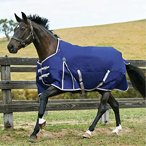8 Best Horse Turnout Sheets (2023 Equestrian Expert Review)