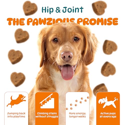 Joint Supplements for Dogs - Dog Hip and Joint Care Chews with Glucosamine, Chondroitin, Green Lipped, Omega-3, Turmeric and MSM for Arthritis, Chicken Flavor (100 Count) - Image 4