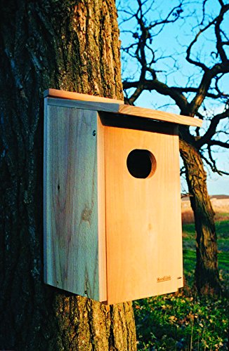 Woodlink Wd1 Cedar Duck House, 1 #TOP1