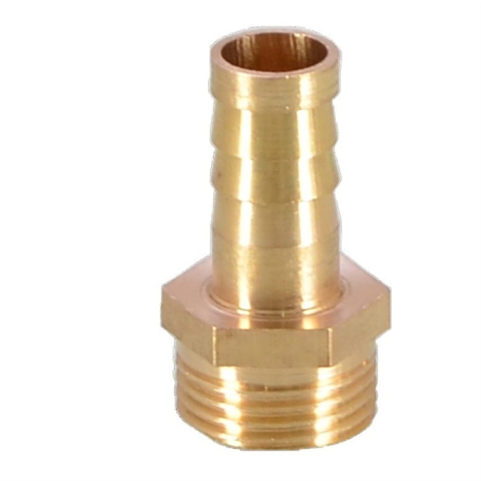 Raccord de tuyau en laiton 14mm connecteur barbe queue BSP mâle cuivre adaptateur