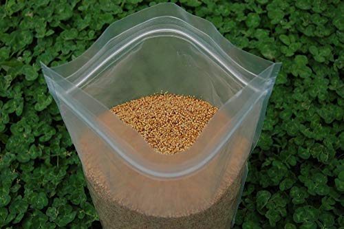 Mini Clover Lawn Seed Blends For Soil Improvement