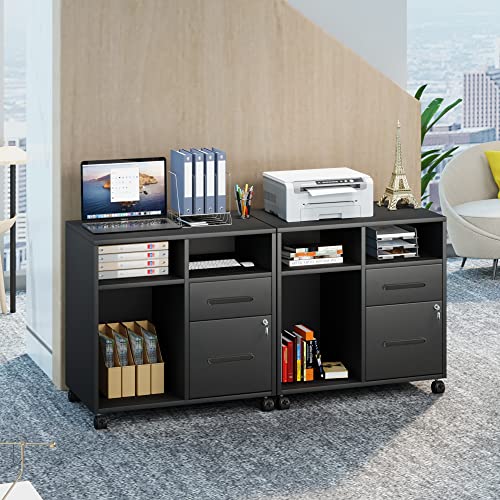 Yitahome 2-Drawer Filing Cabinet, Office Metal Stainless Steel Mobile Lateral Filing Cabinet On Wheels, Printer Stand With Open Storage Shelves For Home Office #TOP6